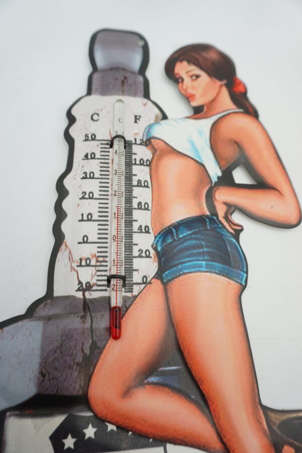 STYLOWY TERMOMETR ŚCIENNY 66