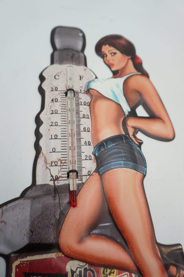 STYLOWY TERMOMETR ŚCIENNY BEER