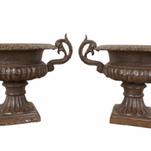 DSC00700-removebg-preview