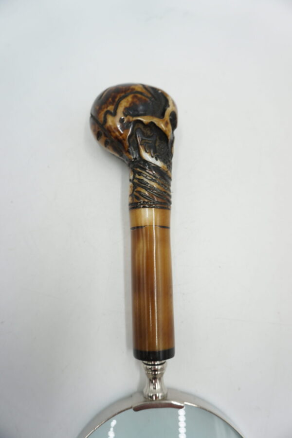 PIĘKNA LUPA SZKŁO POWIĘKSZAJĄCE CZASZKA