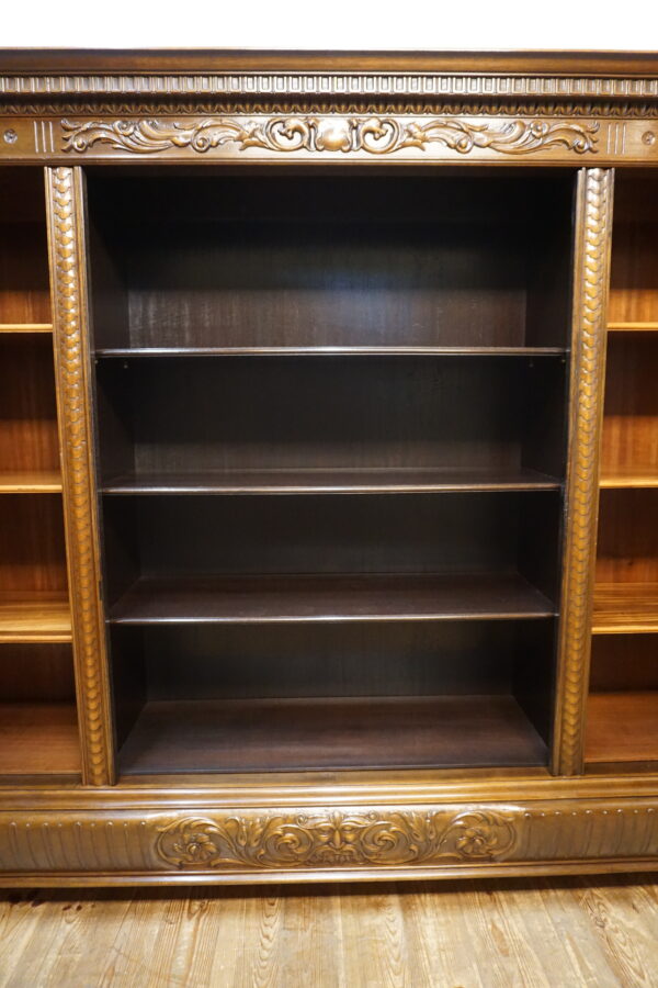 NIEPOTYKANY REGAŁ BIBLIOTEKA OTWARTA DUŻA LWIE ŁAPY